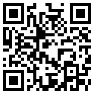智游