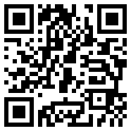 皮皮语音