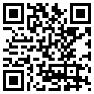 91轻量版app