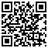 轻量版app