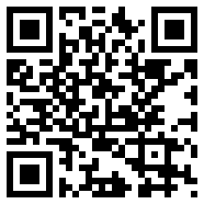 videoLeap