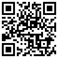 SAOL视频v1.0小说版