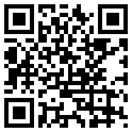 videoLeap