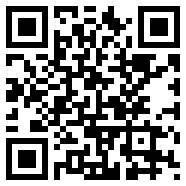 国外播放器