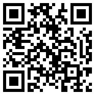 双子星云手机
