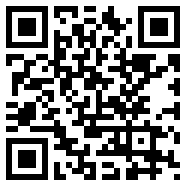 333ae.com