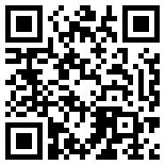 我的侠客极光计划v1.0.17