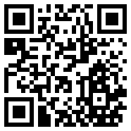 口袋精灵vs