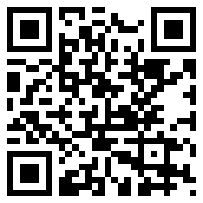 videoLeap