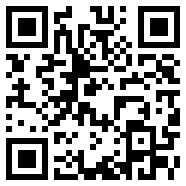 轻量版app