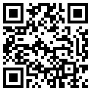 闲置航空公司(IdleAirlineInc