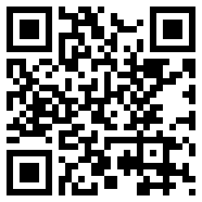 不良少年传说G1.0.1