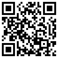 诺基亚n10
